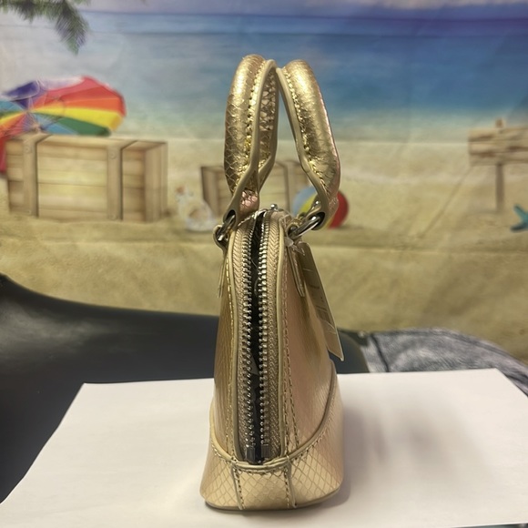 Brand new with tags Woman’s Francesca’s dome metallic mini bag. - Picture 5 of 16